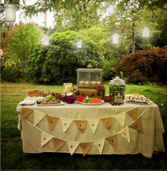 Backyard Elegance Birthday