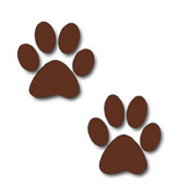 paw prints