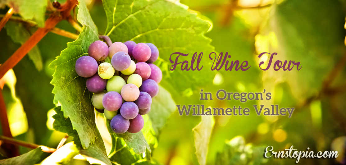 Oregon wine tour