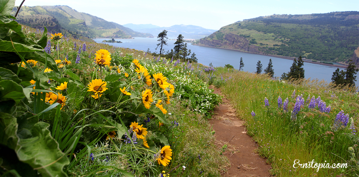 Mosier Plateau Hiking Guide