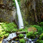 The trailhead for Dry Creek Falls is located in Cascade Locks, OR. Just 2.5 miles up to see this beautiful Columbia Gorge waterfall!