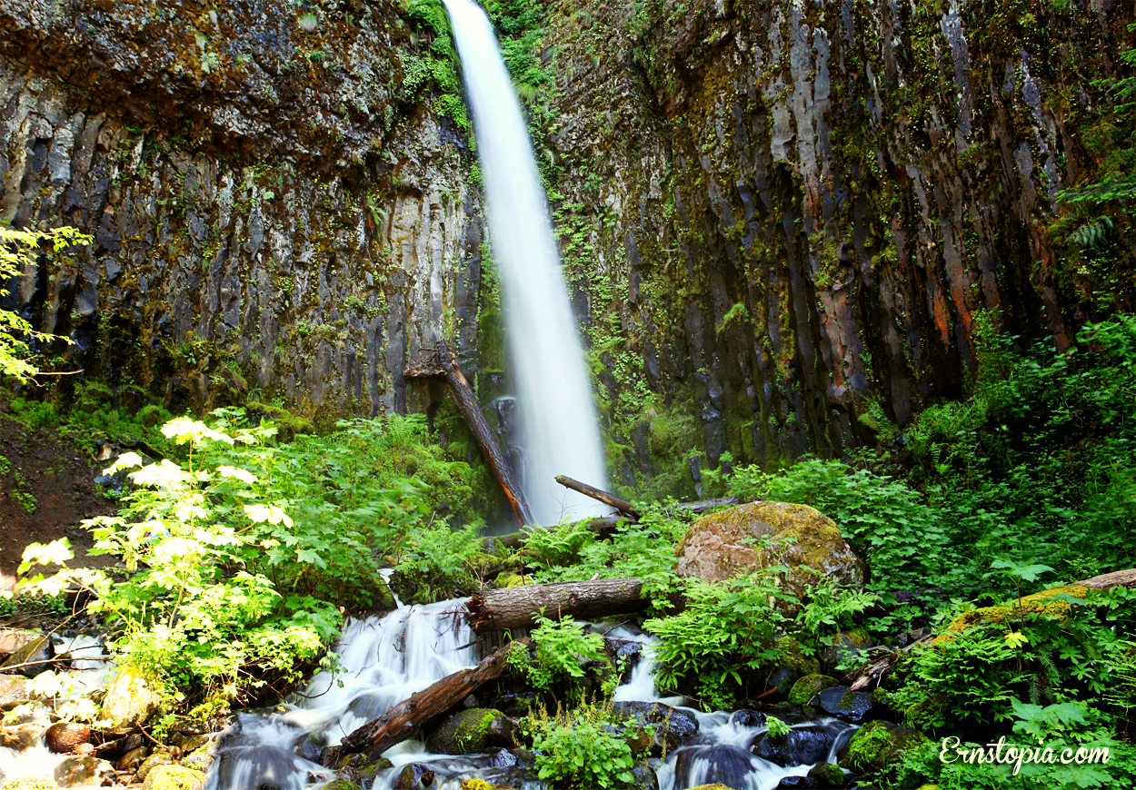 The trailhead for Dry Creek Falls is located in Cascade Locks, OR. Just 2.5 miles up to see this beautiful Columbia Gorge waterfall!