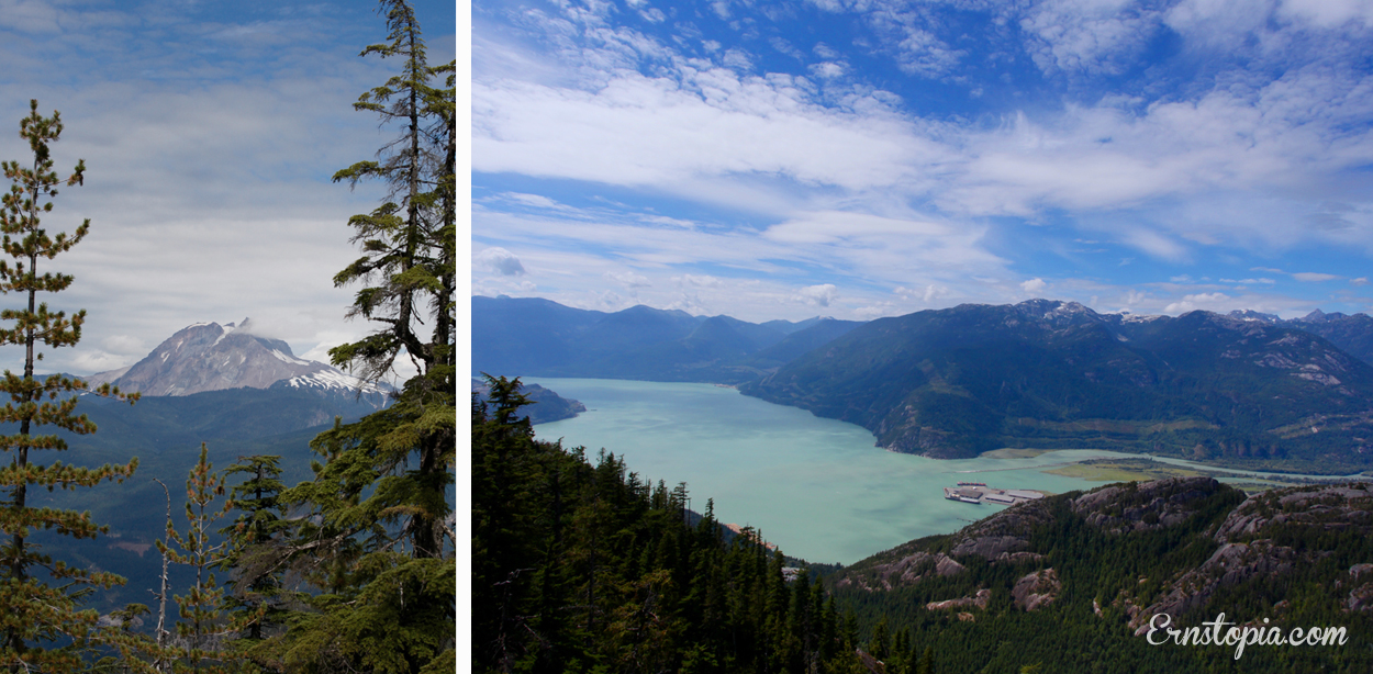 view from panorama trail