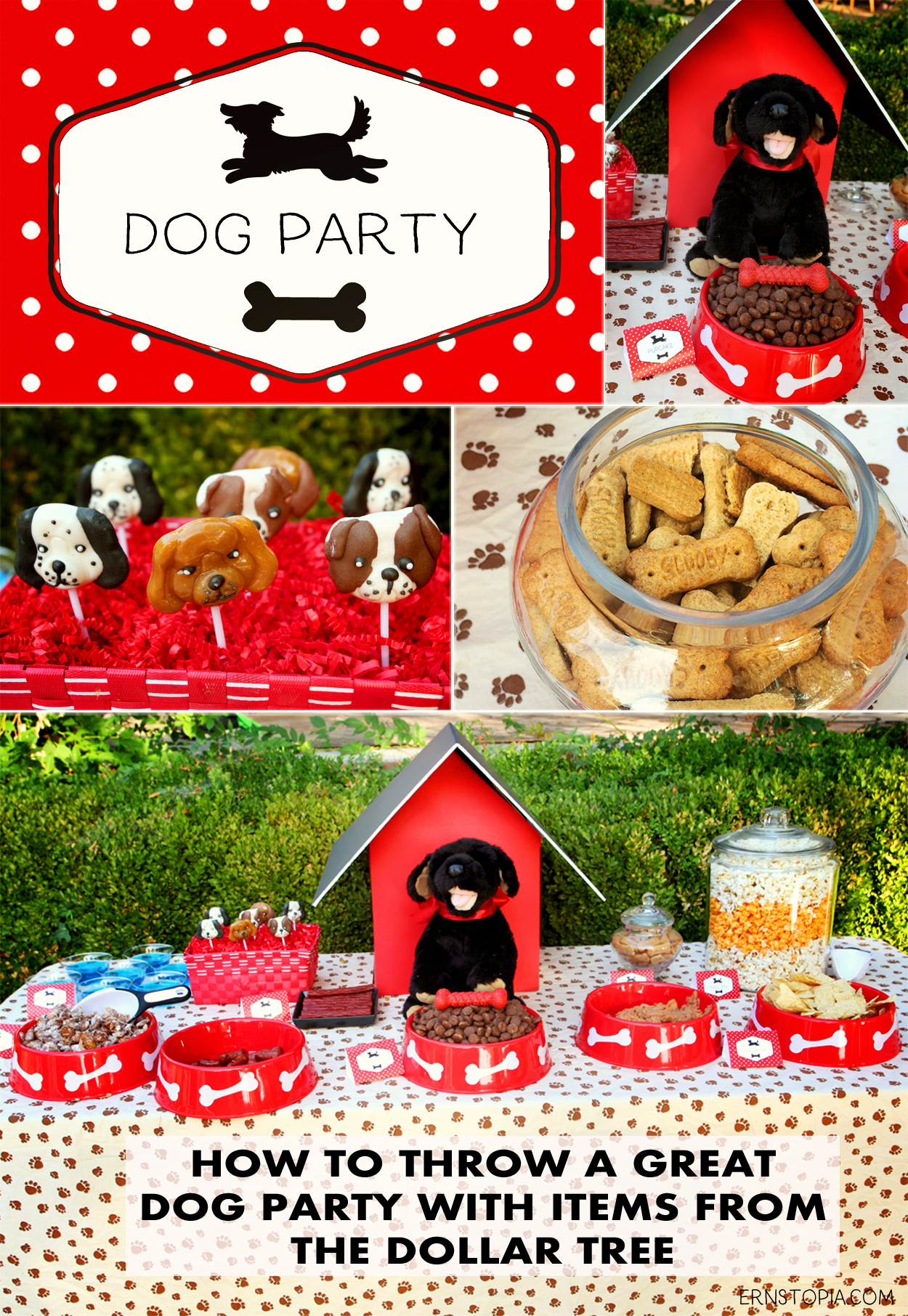 A dog themed birthday party is a fun way to celebrate boy's best friend! Here are some ideas to get you started with your dog party!