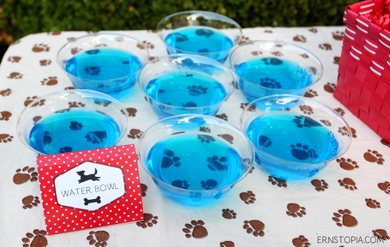 A dog themed birthday party is a fun way to celebrate boy's best friend! Here are some ideas to get you started with your dog party!