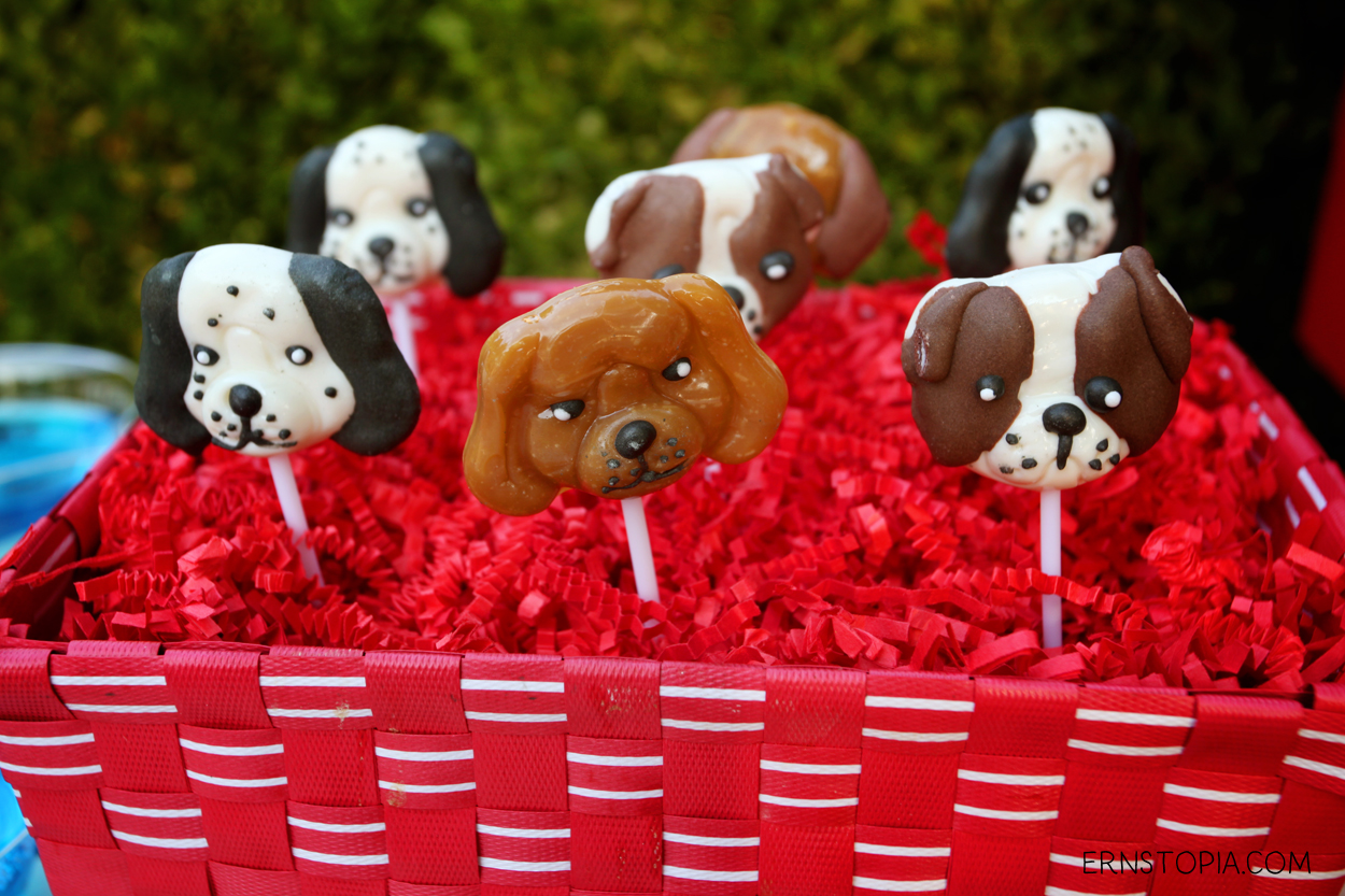 A dog themed birthday party is a fun way to celebrate boy's best friend! Here are some ideas to get you started with your dog party!