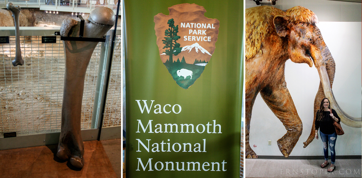 Waco Mammoth National Monument