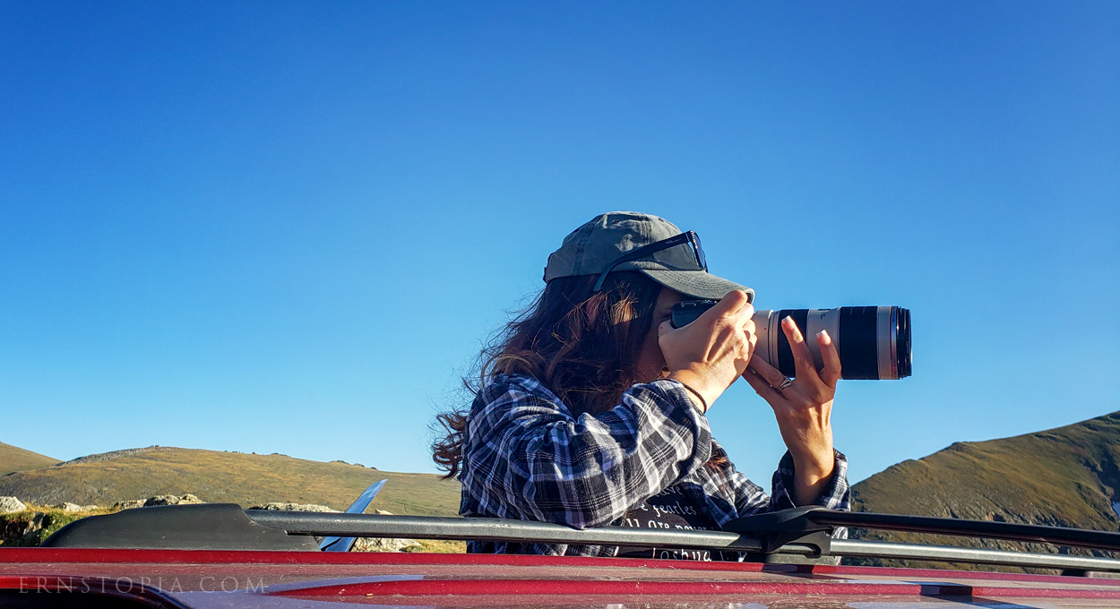 Photographing Elk 