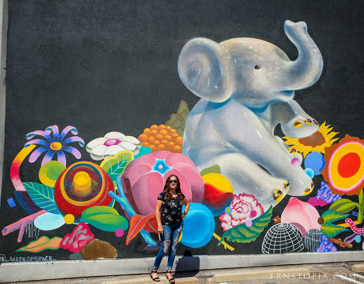 Cute Elephant Mural in Denver, COCute Elephant Mural in Denver, CO