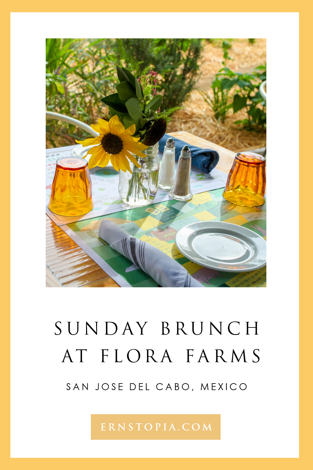 FLORA FARMS BRUNCH