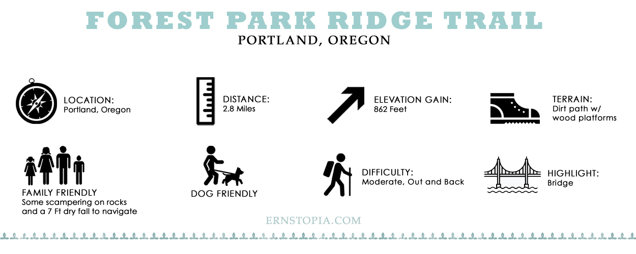 Forest Park Ridge Trail Hiking guide
