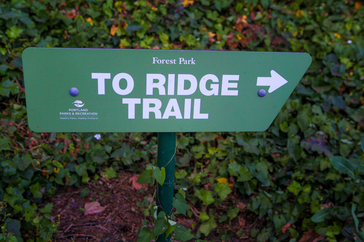 Ridge Trail sign