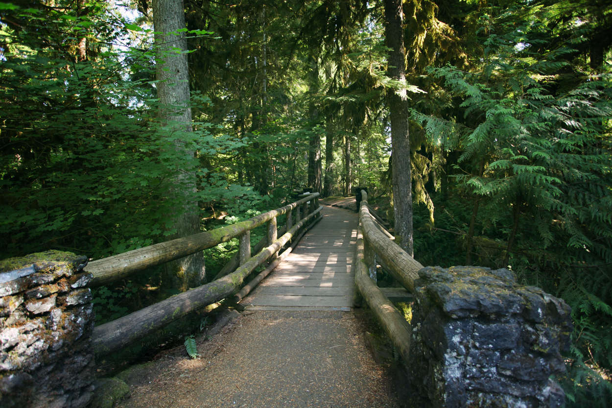 Koosah and Sahalie Falls Hiking Guide