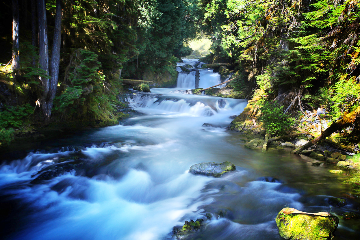 McKenzie River Trail