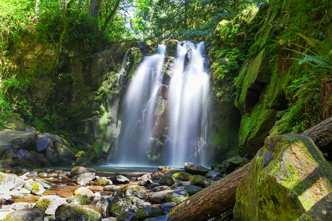 McDowell Creek Falls Hiking Guide