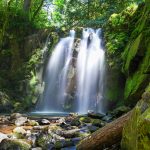 McDowell Creek Falls Hiking Guide