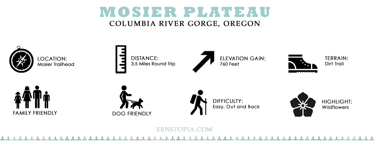 Mosier Plateau HIKING guide