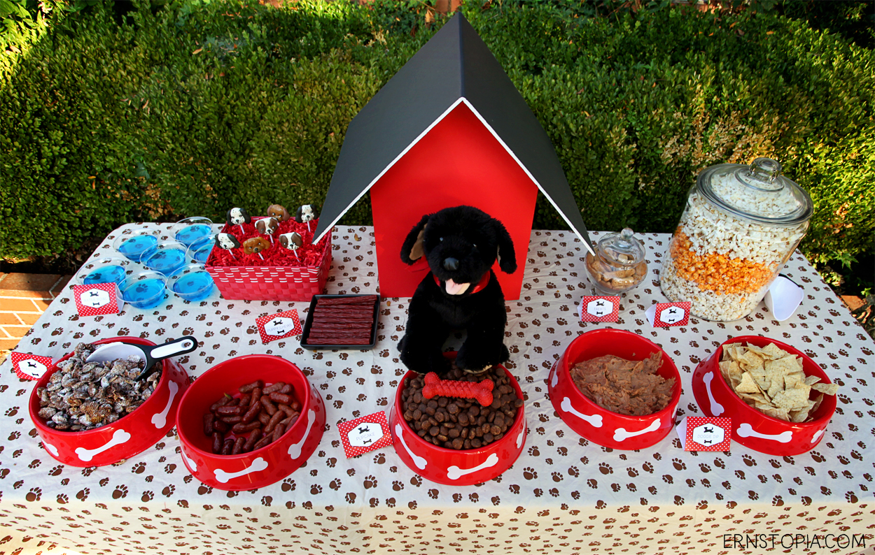 A dog themed birthday party is a fun way to celebrate boy's best friend! Here are some ideas to get you started with your dog party!