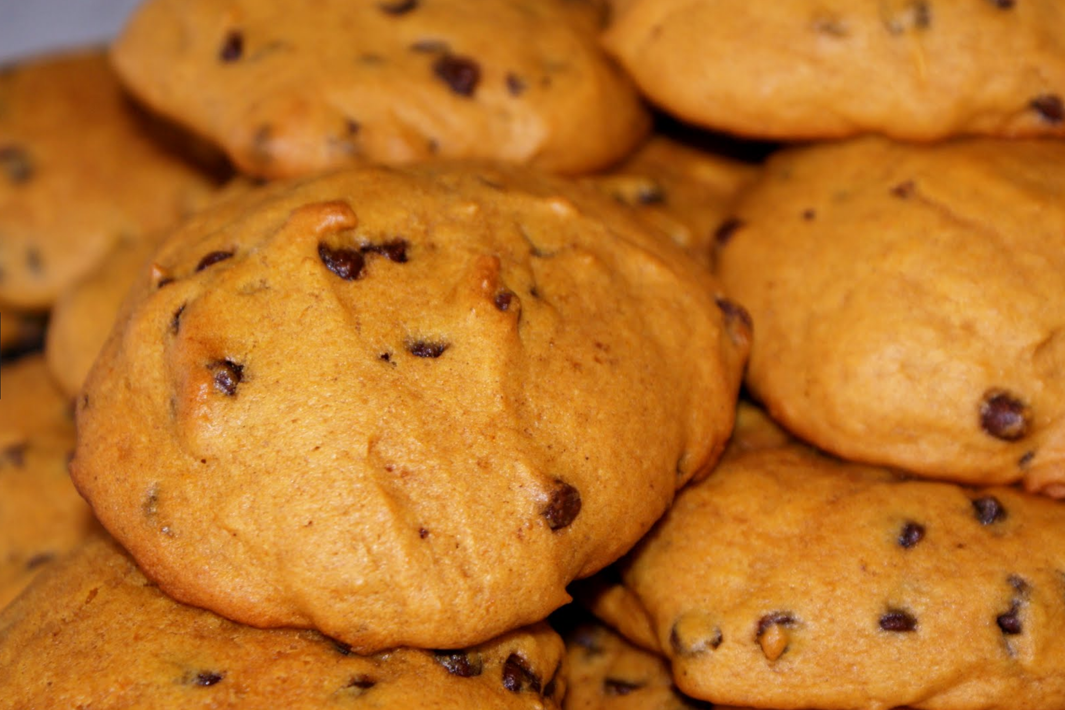 Chocolate Chip Pumpkin cookies!