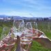 Visit Mt Hood Winery in Hood River